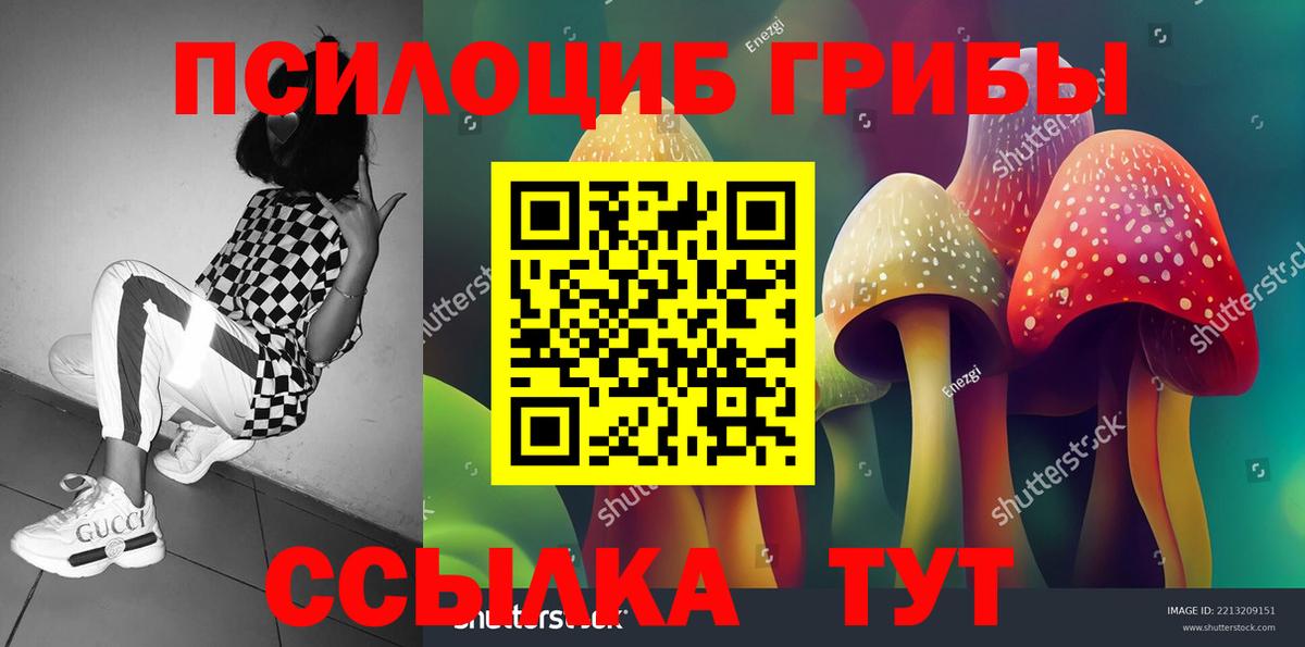 Галлюциногенные грибы Magic Shrooms  Вход с VPN  Галлюциногенные грибы GOLDEN TEACHER  Калуга 
